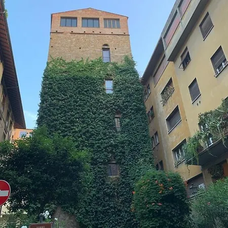 The Secret Window On The River Arno Florence